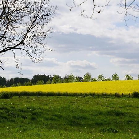 Bed and Breakfast La Grange De Felicie Charrey-sur-Saone Экстерьер фото